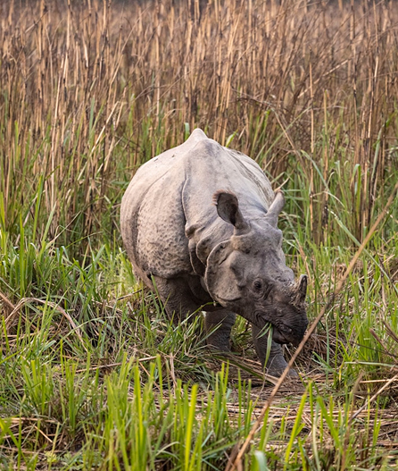 Pathfinder Nepal Tours and Travels