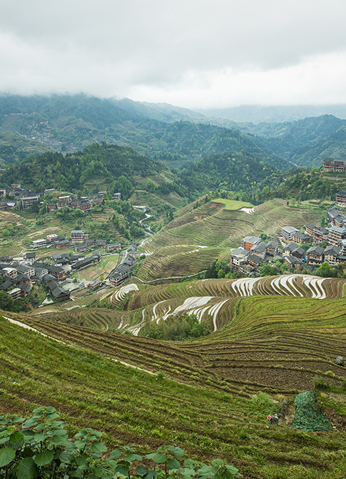 Pathfinder Nepal Tours and Travels