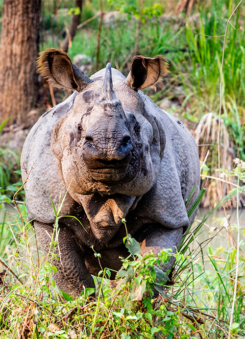 Pathfinder Nepal Tours and Travels